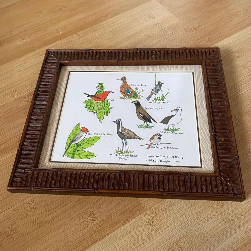 2007 Painting "Some Birds of Hawaii" by Hawaii Artist Johann Bosgra w/Frame